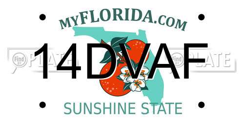14DVAF Florida License Plate