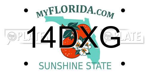 14DXG Florida License Plate