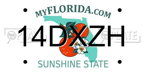 14DXZH Florida License Plate