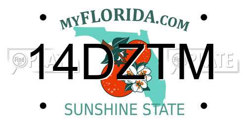 14DZTM Florida License Plate