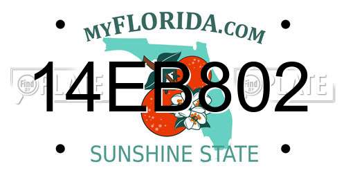 14EB802 Florida License Plate