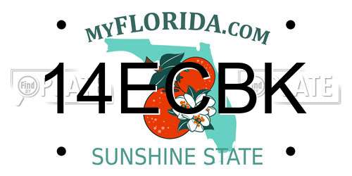 14ECBK Florida License Plate