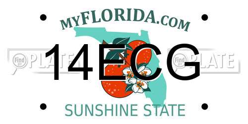14ECG Florida License Plate