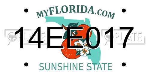 14EE017 Florida License Plate