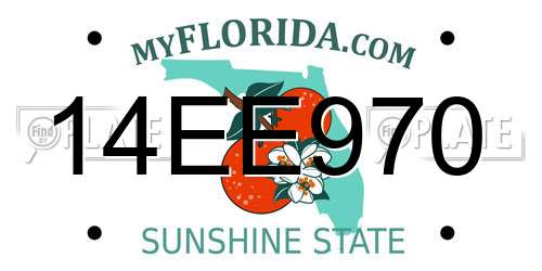 14EE970 Florida License Plate