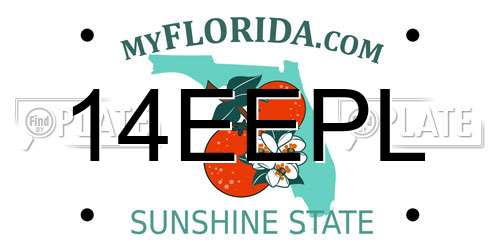 14EEPL Florida License Plate