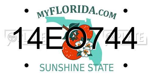 14EO744 Florida License Plate