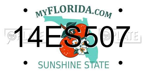 14ES507 Florida License Plate
