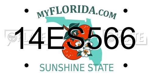 14ES566 Florida License Plate