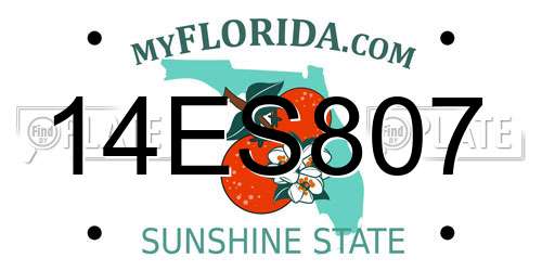 14ES807 Florida License Plate