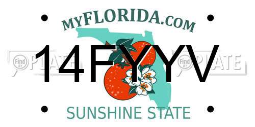 14FYYV Florida License Plate