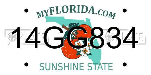 14GG834 Florida License Plate