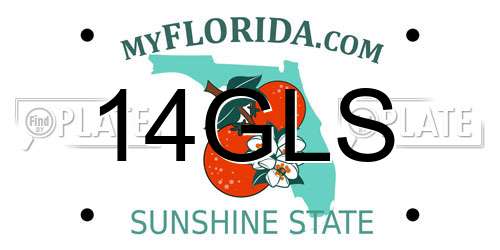 14GLS Florida License Plate