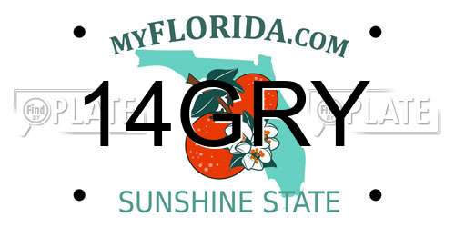 14GRY Florida License Plate