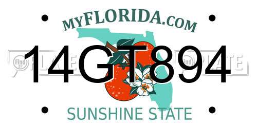 14GT894 Florida License Plate