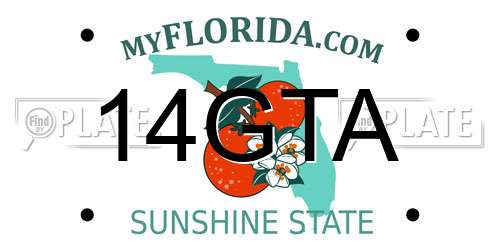 14GTA Florida License Plate