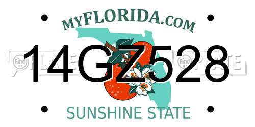 14GZ528 Florida License Plate