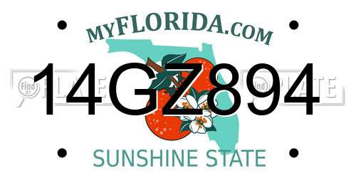 14GZ894 Florida License Plate