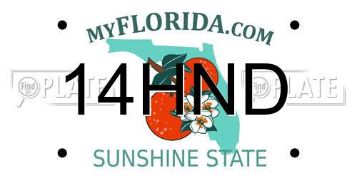 14HND Florida License Plate