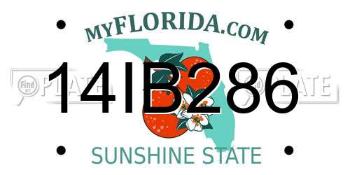 14IB286 Florida License Plate