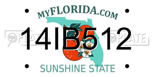 14IB512 Florida License Plate