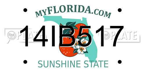 14IB517 Florida License Plate
