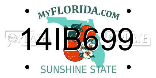 14IB699 Florida License Plate