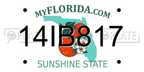 14IB817 Florida License Plate