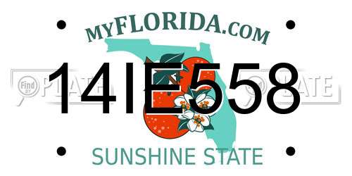 14IE558 Florida License Plate