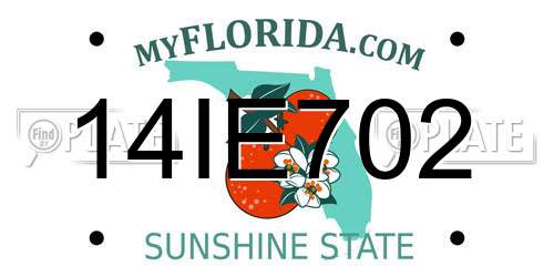 14IE702 Florida License Plate