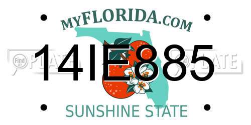 14IE885 Florida License Plate