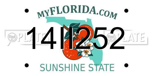 14II252 Florida License Plate