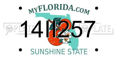 14II257 Florida License Plate