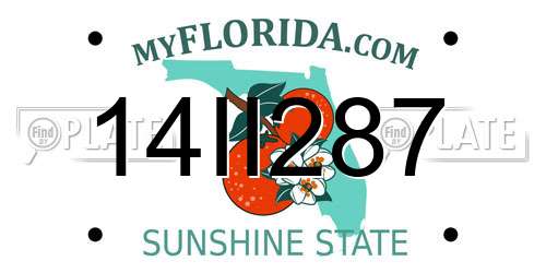 14II287 Florida License Plate