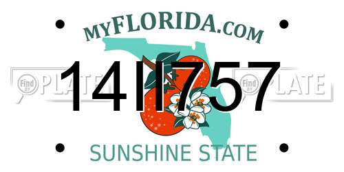 14II757 Florida License Plate