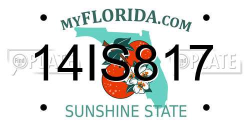 14IS817 Florida License Plate
