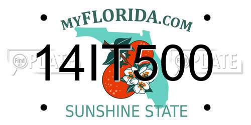 14IT500 Florida License Plate