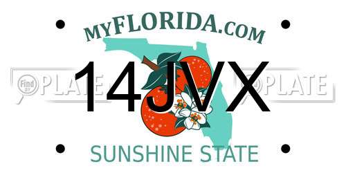 14JVX Florida License Plate