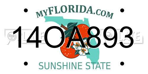 14OA893 Florida License Plate
