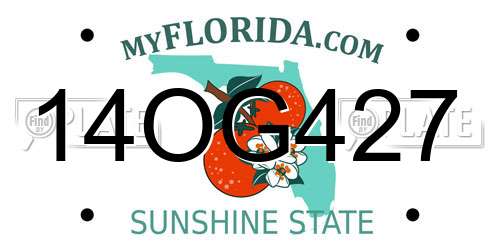 14OG427 Florida License Plate