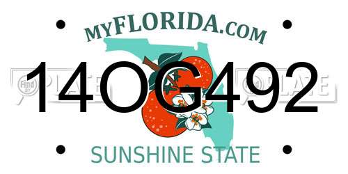 14OG492 Florida License Plate
