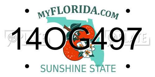 14OG497 Florida License Plate