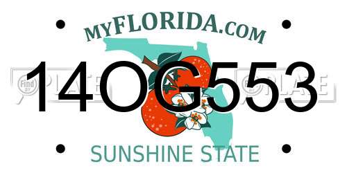 14OG553 Florida License Plate