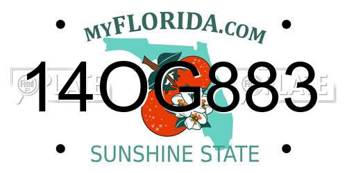 14OG883 Florida License Plate