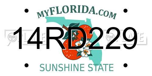14RD229 Florida License Plate
