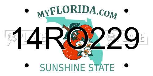 14RO229 Florida License Plate