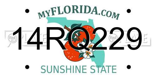 14RQ229 Florida License Plate