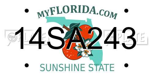 14SA243 Florida License Plate