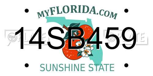 14SB459 Florida License Plate