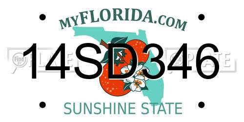 14SD346 Florida License Plate